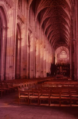 Winchester Cathedral