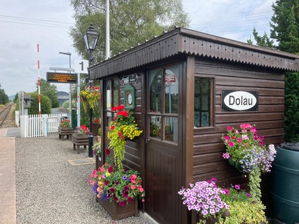 Dolau-04 2021-07-25
