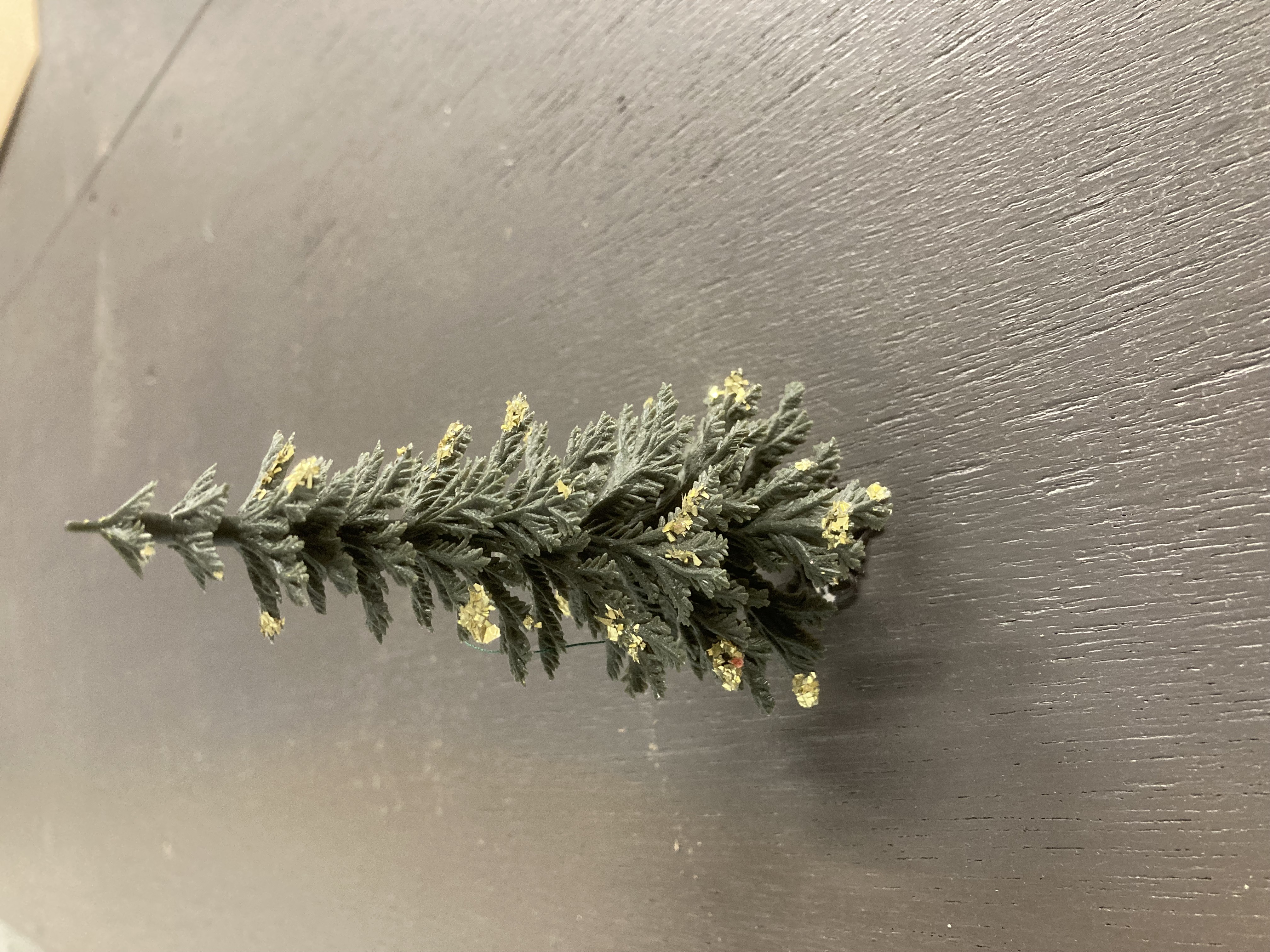 IMG_5001.jpeg