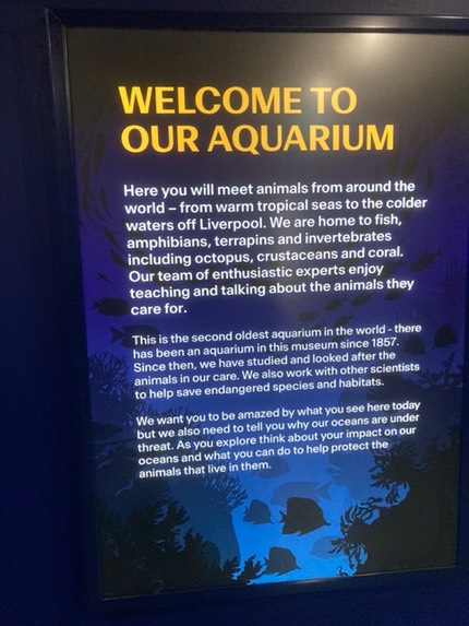 WorldMusuem-Aquarium Large
