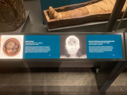 WorldMusuem-Mummy Large